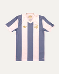 Argentina 2024/25 Football Shirt (front)