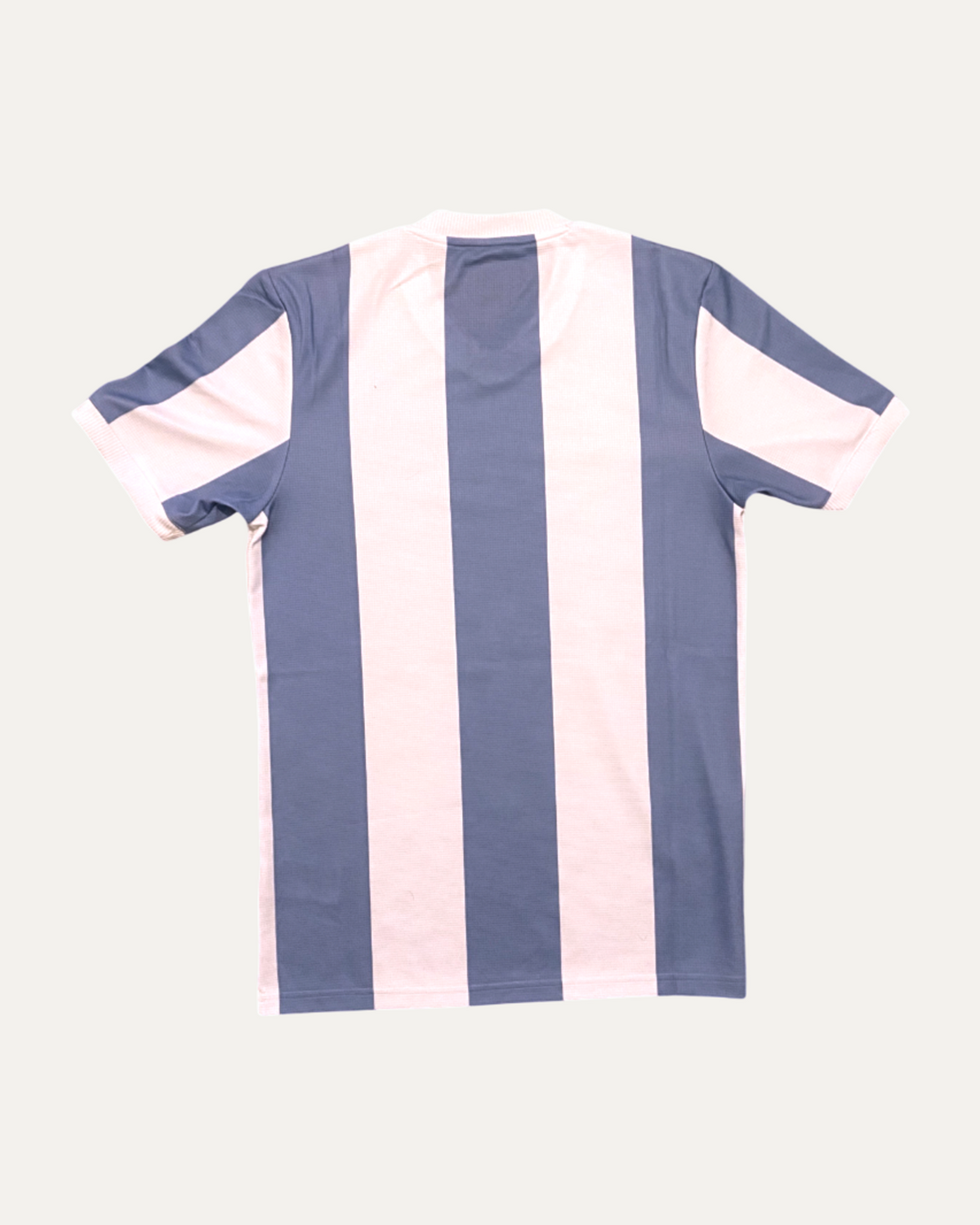 Argentina 2024/25 Football Shirt (back)