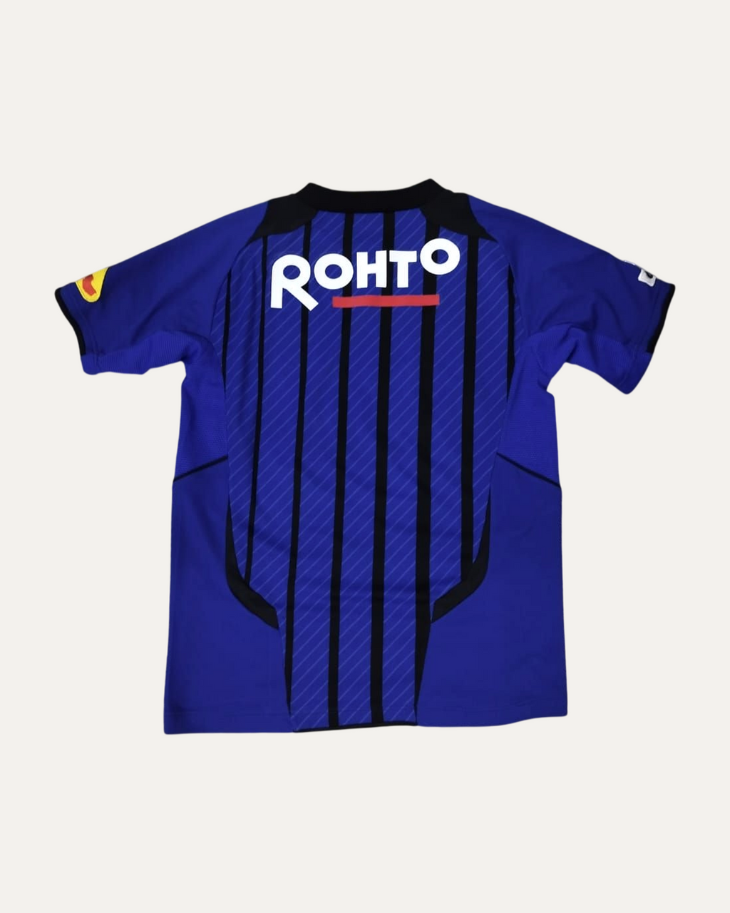Gamba Osaka 2009/10 Home Shirt (back)