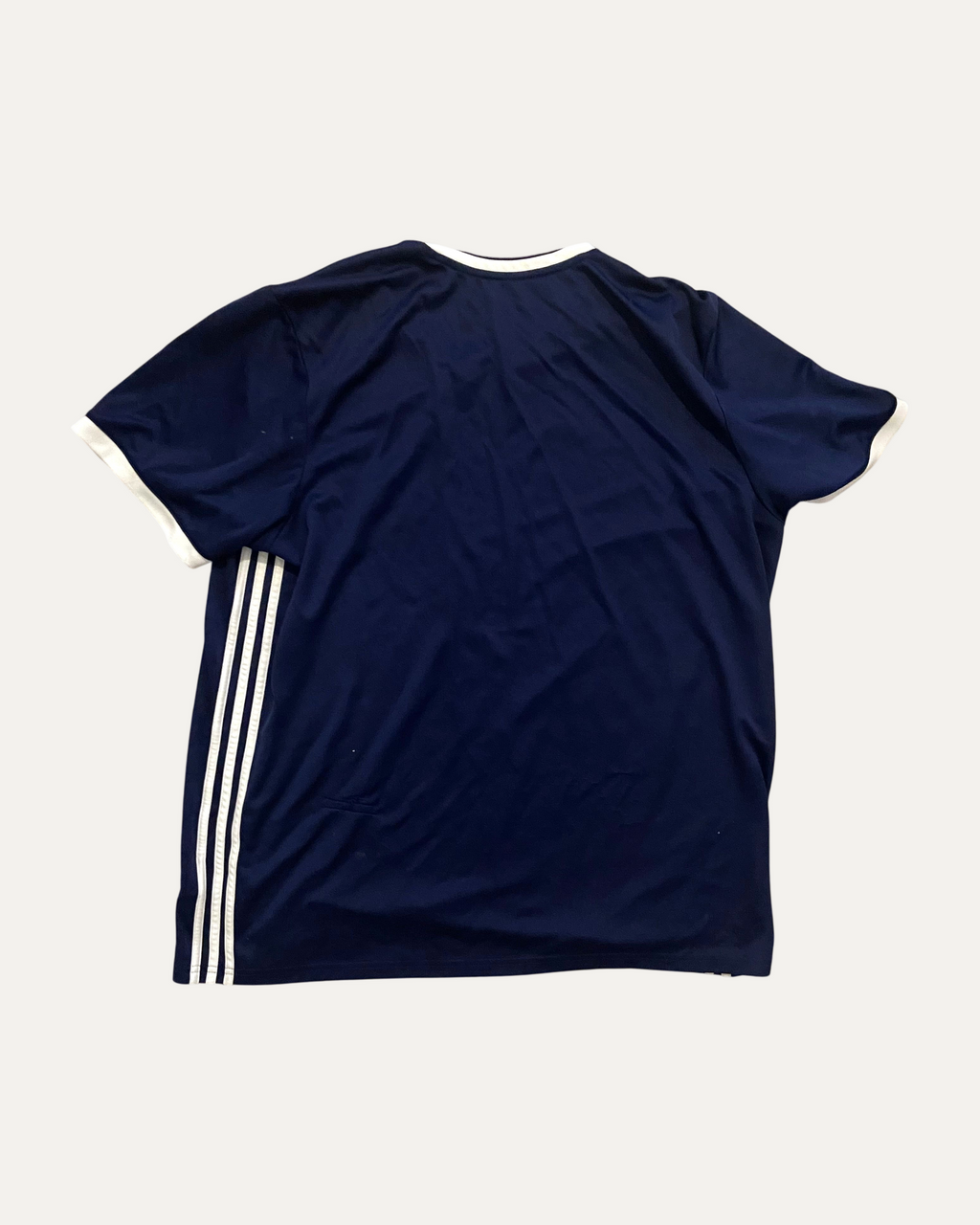 Scotland back