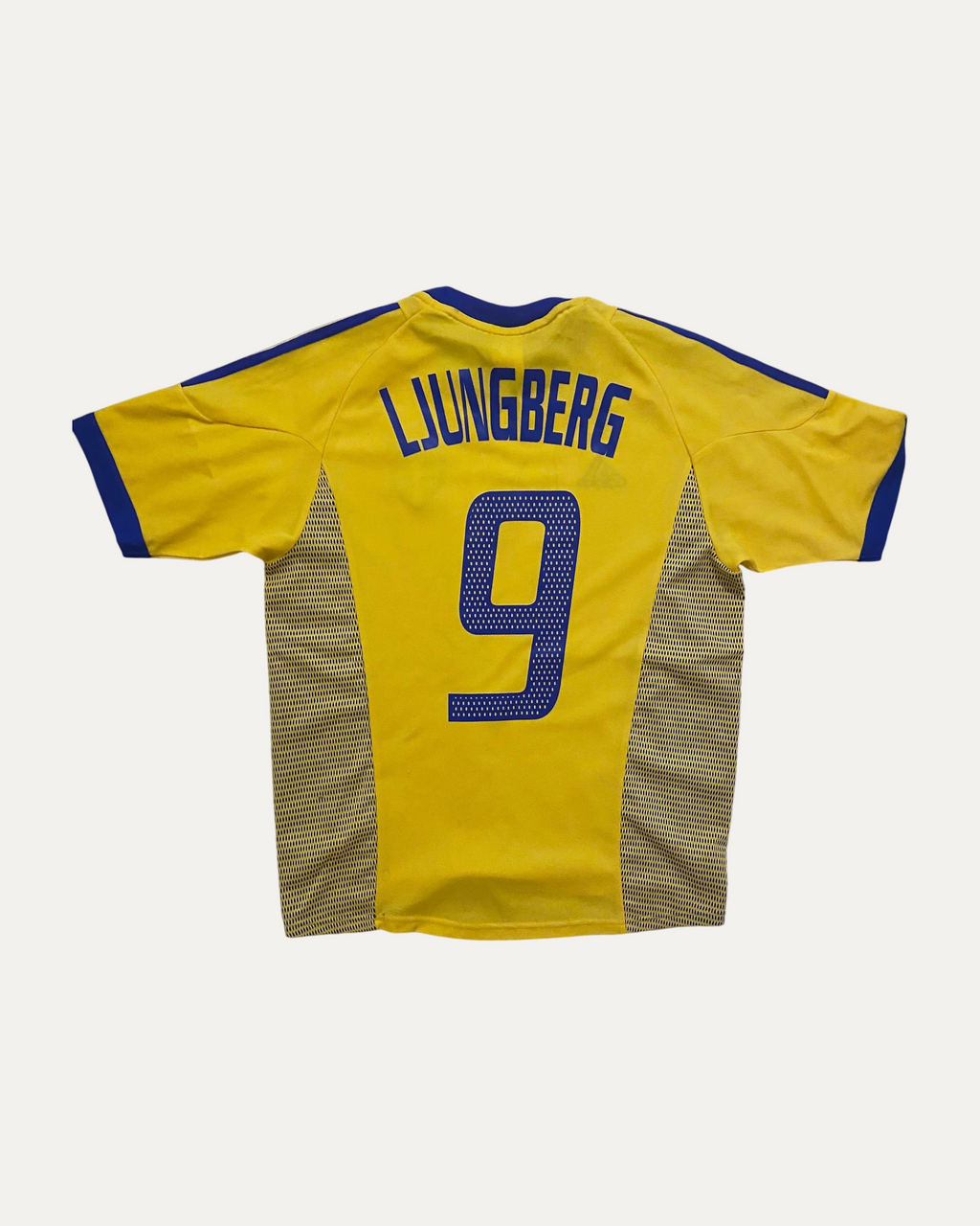 Sweden back