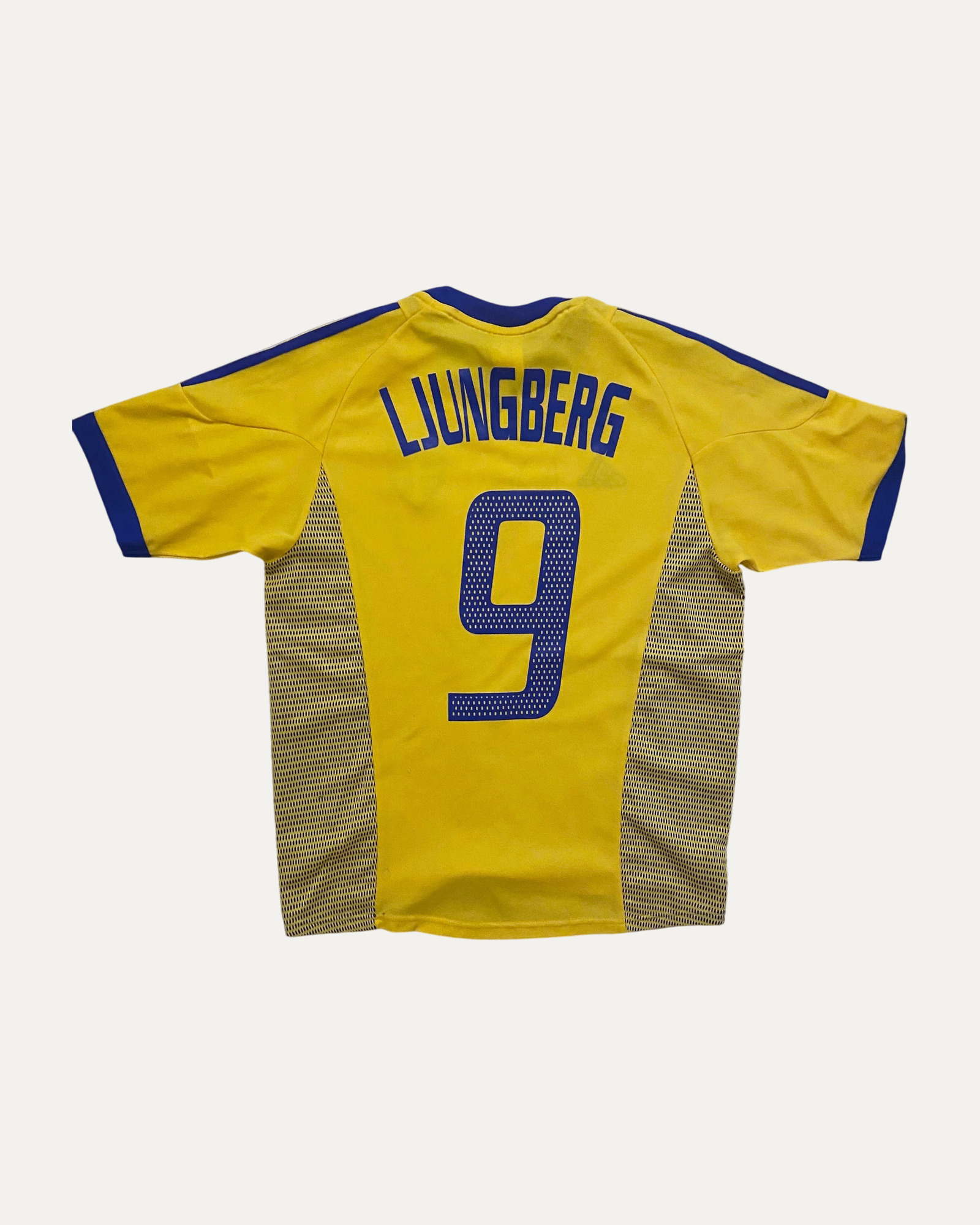 Sweden back